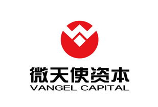 青岛微天使商务信息咨询管理企业 专业引领，助力企业腾飞