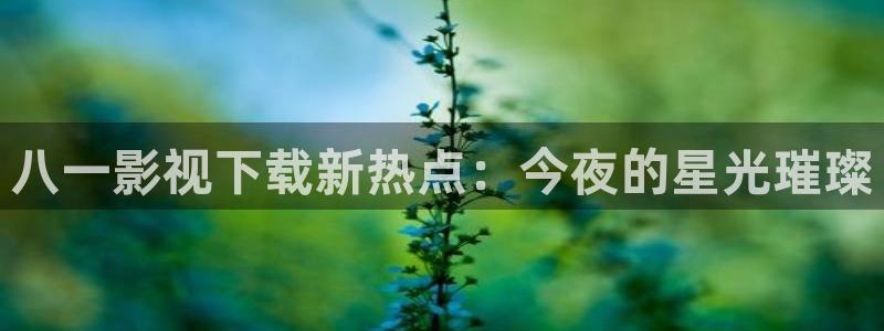 西安红叶影城：八一影视下载新热点：今夜的星光璀璨