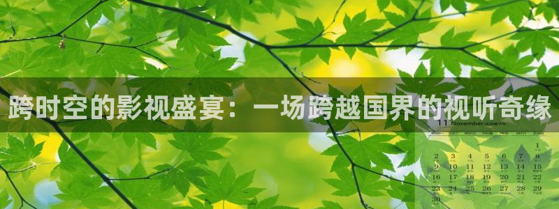 红叶影院下载：跨时空的影视盛宴：一场跨越国界的视听奇缘