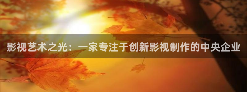 六安红叶国际影城：影视艺术之光：一家专注于创新影视制作的中央企业