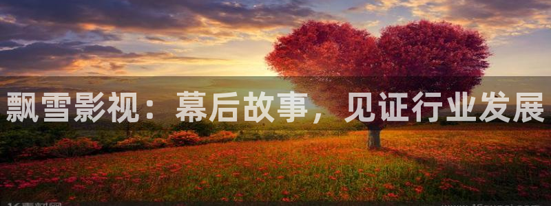 红叶影院免费观看电视剧：飘雪影视：幕后故事，见证行业发展