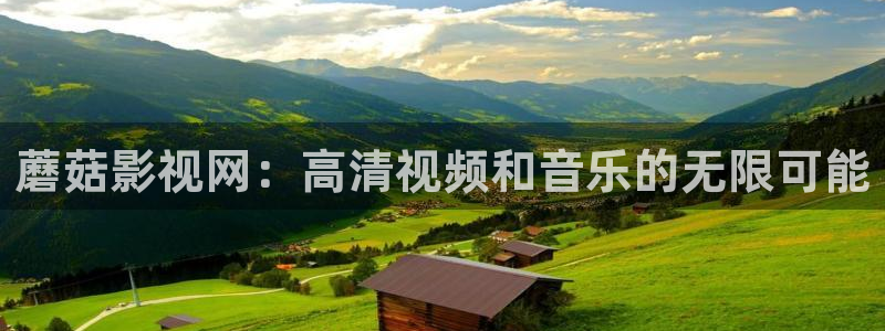 红叶影院下载：蘑菇影视网：高清视频和音乐的无限可能
