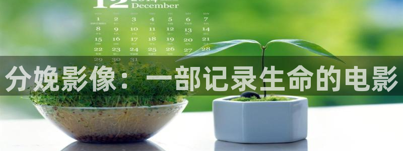 红叶影城电影
