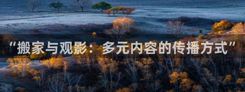 电影红叶