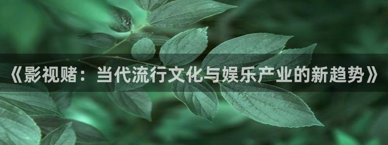 红叶影院免费观看电视剧