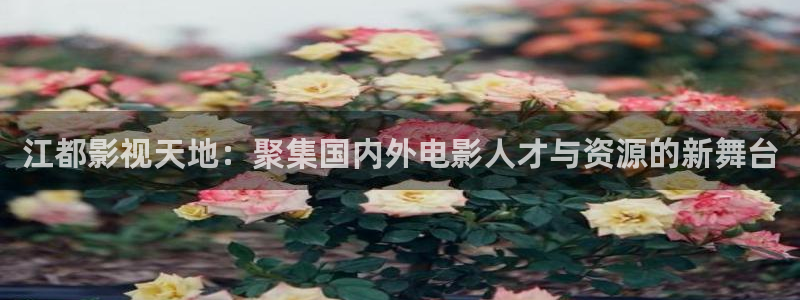 红叶影视：江都影视天地：聚集国内外电影人才与资源的新舞台