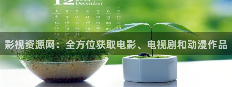 六安红叶影城今日电影：影视资源网：全方位获取电影、电视剧和动漫作品